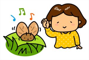 鈴虫
