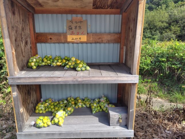 みかん直売所