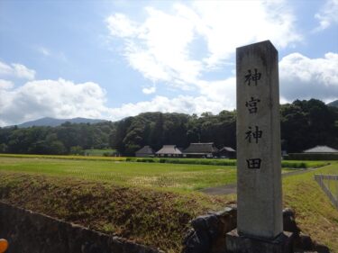 神宮神田