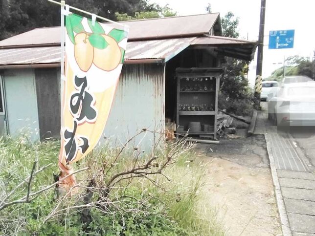 みかん無人販売
