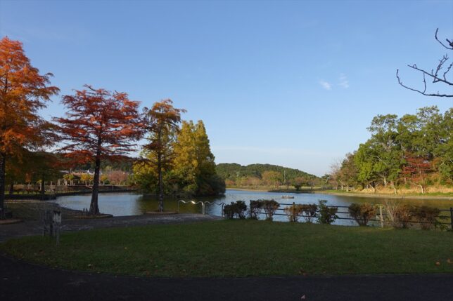 朝熊山麓公園 紅葉
