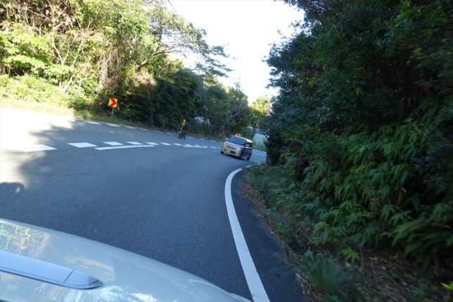 おさるさんが表れた!