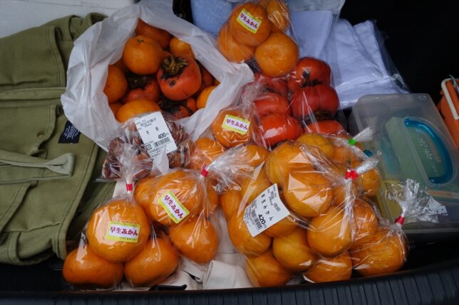 収穫物 柿・みかん