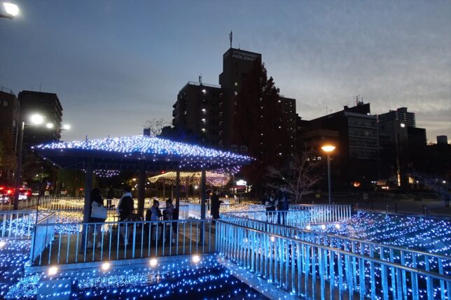 岡山市街のイルミネーション