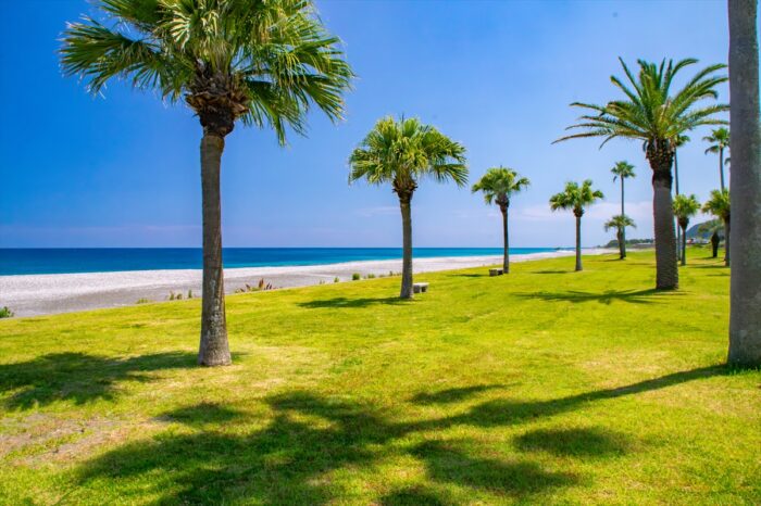 晴れた日の七里御浜の参考画像