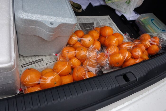 成果（まだ途中）