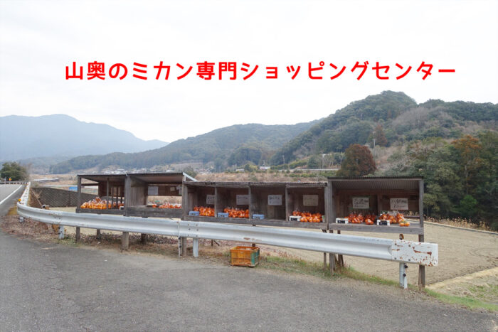 それなりの規模の販売所