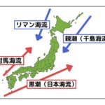 日本の海流