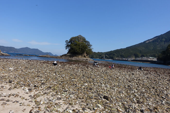 地元の浜というか磯