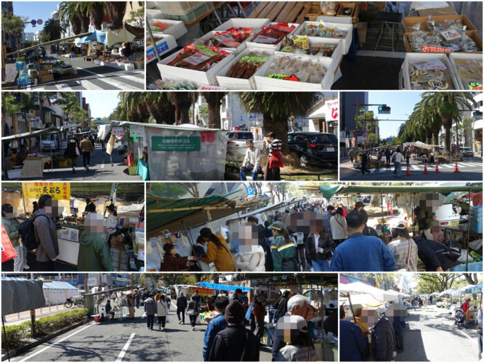 土佐名物の日曜朝市