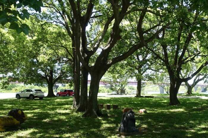 川っぺりの公園