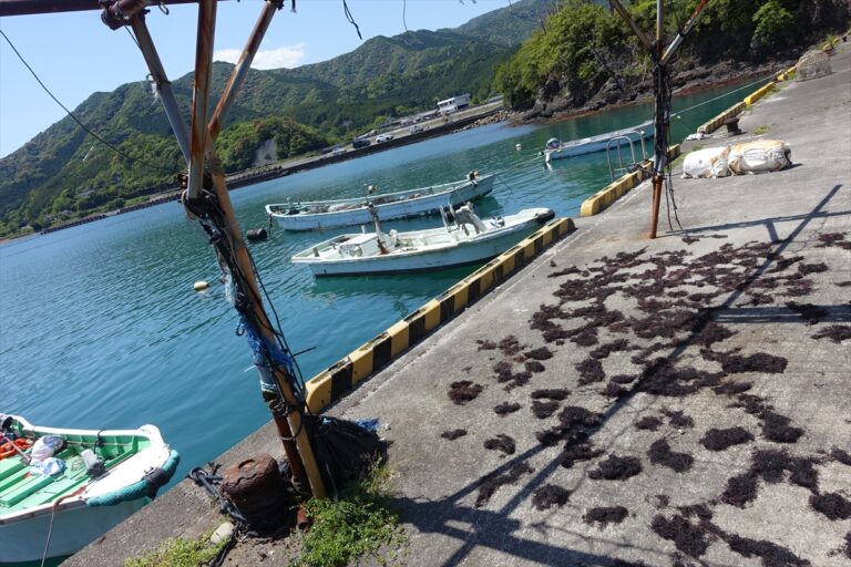 小さな漁港