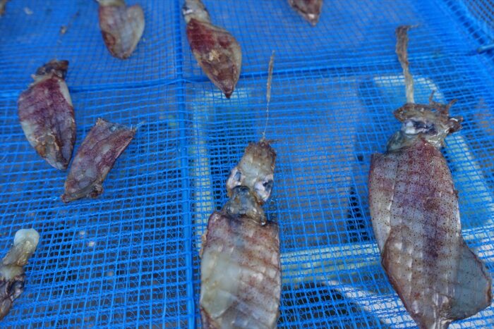 イカ干物の完成!