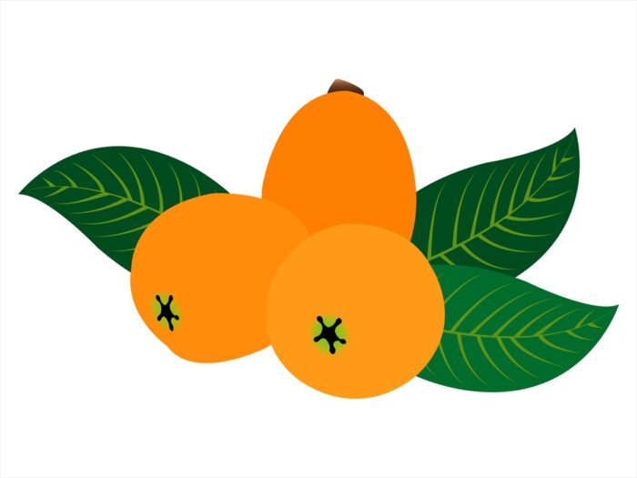 ビワ
