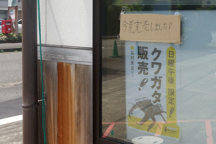魚屋さんでクワガタも売ってたらしい
