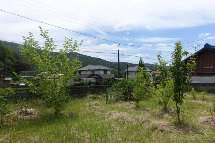 果樹園