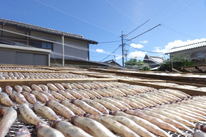 干物屋さん